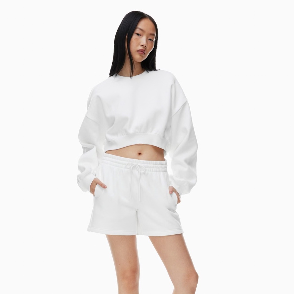 Aritzia Cozy Sweatfleece Boyfriend Mid-thigh Short